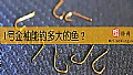 《1号金袖能钓多大的鱼?》封面图