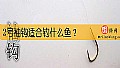 《2号袖钩适合钓什么鱼?》封面图