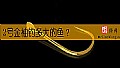 《2号金袖钓多大的鱼？》封面图
