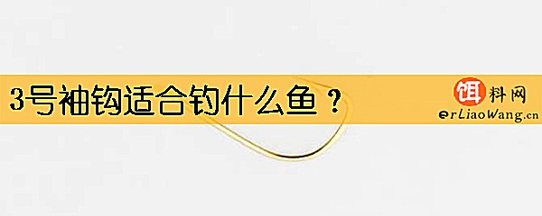 3号袖钩适合钓什么鱼