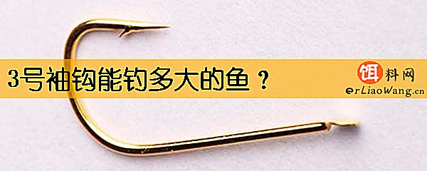 3号袖钩能钓多大的鱼