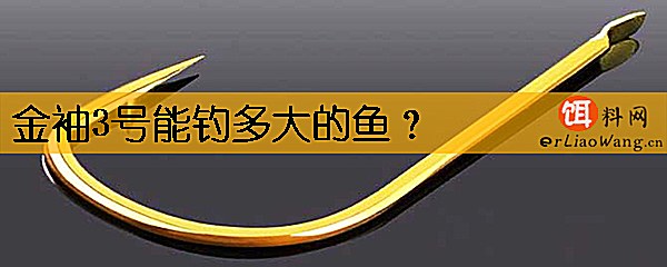 金袖3号能钓多大的鱼