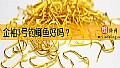《金袖3号钓鲫鱼好吗？》封面图