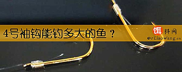 4号袖钩能钓多大的鱼