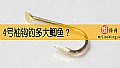 《4号袖钩钓多大鲫鱼？》封面图