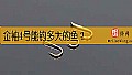 《金袖4号能钓多大的鱼?》封面图