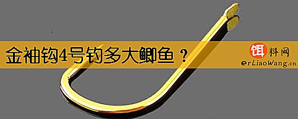 金袖钩4号钓多大鲫鱼