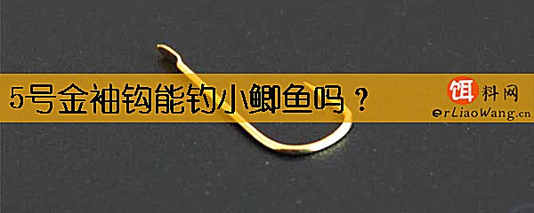 5号金袖钩能钓小鲫鱼吗