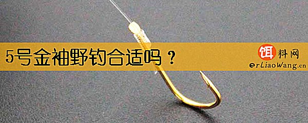 5号金袖野钓合适吗