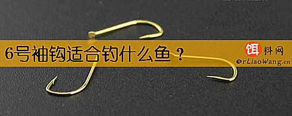 6号袖钩适合钓什么鱼