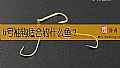 《6号袖钩适合钓什么鱼？》封面图