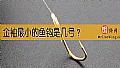 《金袖最小的鱼钩是几号?》封面图