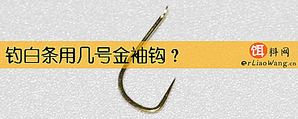 钓白条用几号金袖钩