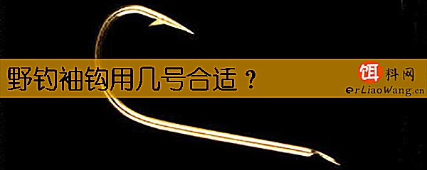 野钓袖钩用几号合适