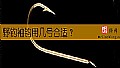 《野钓袖钩用几号合适?》封面图