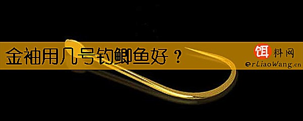 金袖用几号钓鲫鱼好