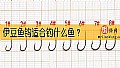 《伊豆鱼钩适合钓什么鱼？》封面图