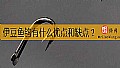 《伊豆鱼钩有什么优点和缺点？》封面图