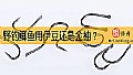 《野钓鲫鱼用伊豆还是金袖？》封面图