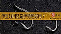 《伊豆好用还是伊势尼好用？》封面图