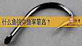 《什么鱼钩中鱼率最高？》封面图