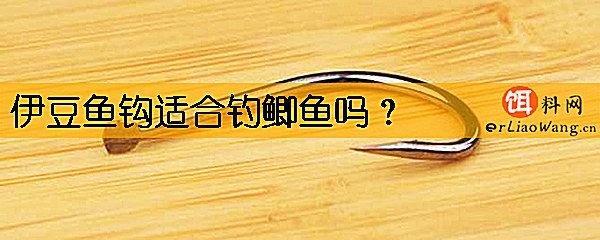 伊豆鱼钩适合钓鲫鱼吗