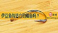 《伊豆鱼钩适合钓鲫鱼吗？》封面图