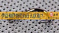 《伊豆和伊势尼有什么区别？》封面图