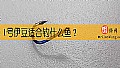 《1号伊豆适合钓什么鱼？》封面图