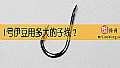 《1号伊豆用多大的子线？》封面图