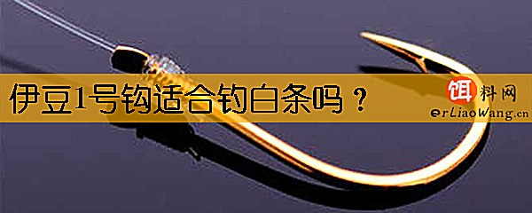 伊豆1号钩适合钓白条吗