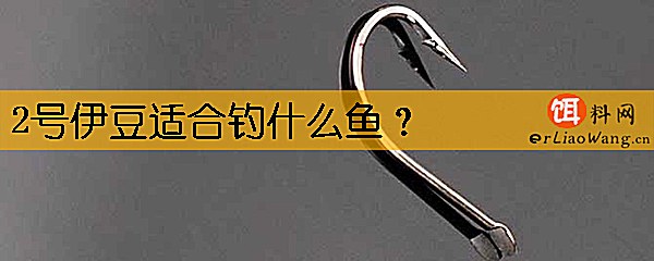 2号伊豆适合钓什么鱼