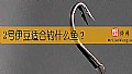 《2号伊豆适合钓什么鱼?》封面图