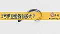 《2号伊豆鱼钩有多大?》封面图