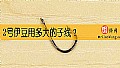 《2号伊豆用多大的子线?》封面图