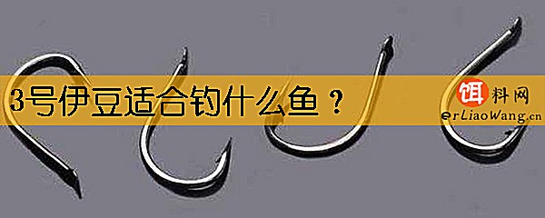 3号伊豆适合钓什么鱼