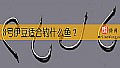 《3号伊豆适合钓什么鱼？》封面图