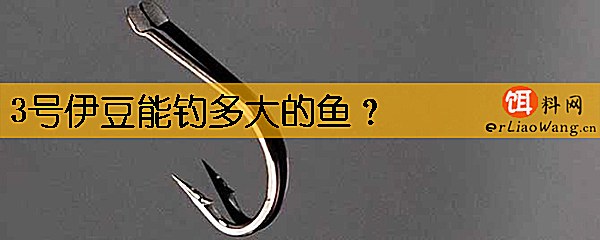 3号伊豆能钓多大的鱼