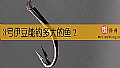 3号伊豆能钓多大的鱼？