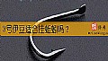 《3号伊豆适合挂蚯蚓吗？》封面图