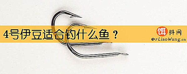 4号伊豆适合钓什么鱼