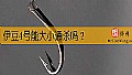 《伊豆4号能大小通杀吗？》封面图