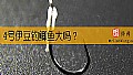 4号伊豆钓鲫鱼大吗？