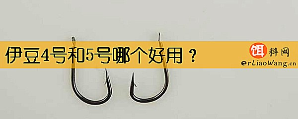 伊豆4号和5号哪个好用