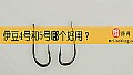 《伊豆4号和5号哪个好用？》封面图