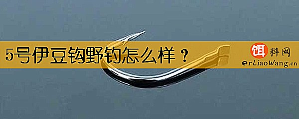 5号伊豆钩野钓怎么样