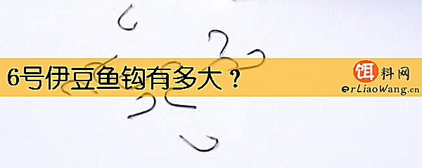 6号伊豆鱼钩有多大