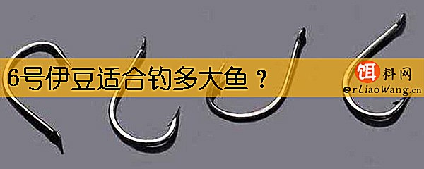 6号伊豆适合钓多大鱼