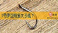 7号伊豆用多大子线?
