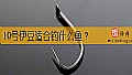 《10号伊豆适合钓什么鱼?》封面图